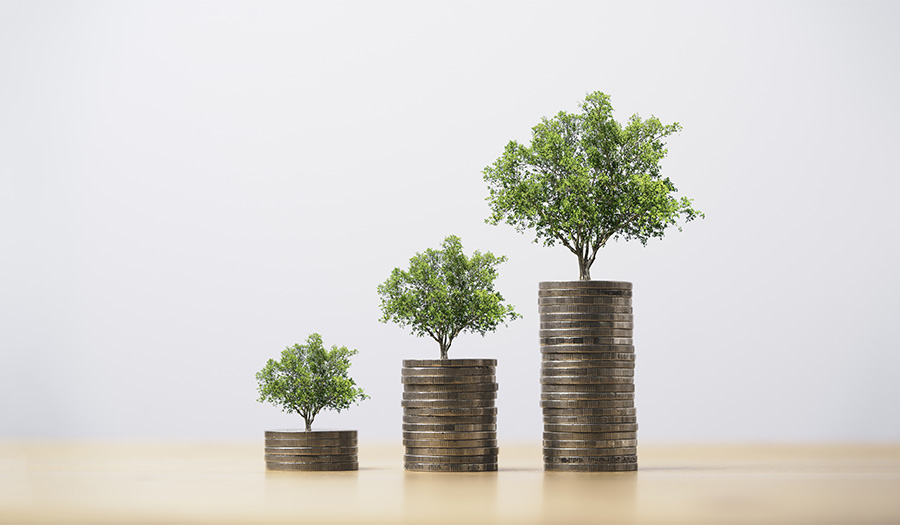 Three stacks of coins with a tree on top. The stacks of coins get gradually taller to show an increased ROI (return on investment).